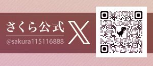 公式X